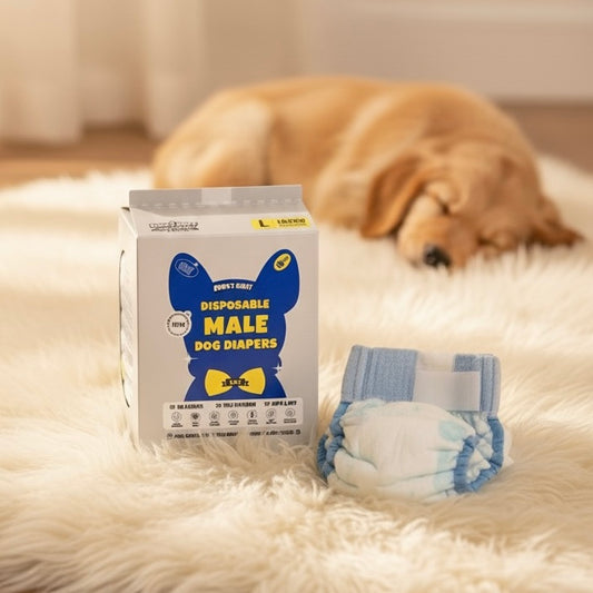 Dono Male Diapers 10pc